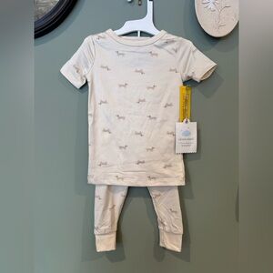 CLOUD ISLAND Dachshund two piece toddler pajama set